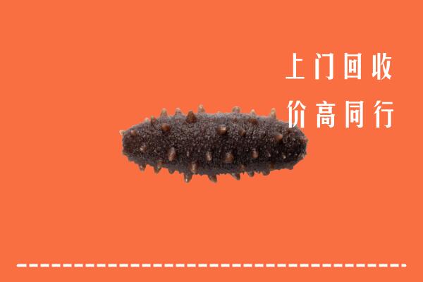 高价求购：海口市回收海参