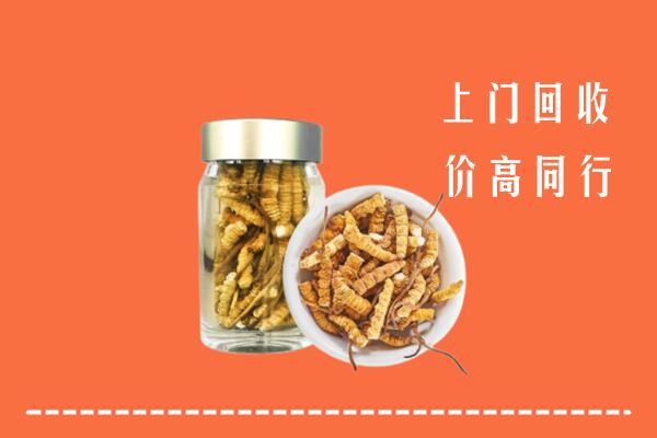 海口市回收冬虫夏草